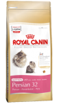 Kitten Persian 10kg