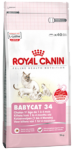 Babycat 34  2kg