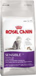 RC Sensible 33    400g